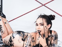 Nicorobin live stream preview